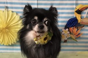 7月のお友達☆