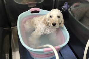 7月のお友達☆