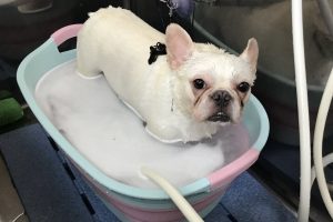 7月のお友達☆