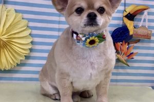 7月のお友達☆