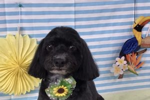7月のお友達☆
