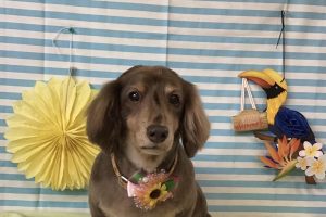 7月のお友達☆