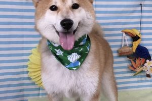 7月のお友達☆