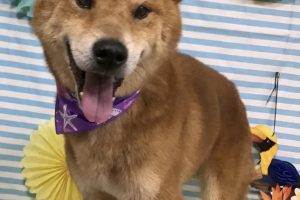 7月のお友達☆