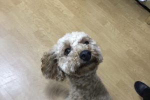 お泊まり中☆