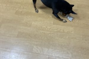 お泊り☆