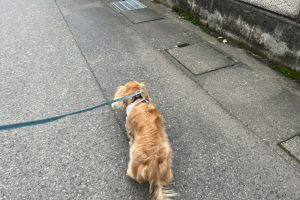 お泊まり中☆