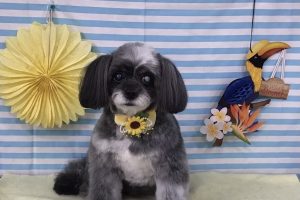 7月のお友達☆