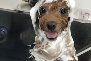 7月のお友達☆