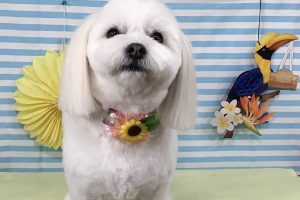 7月のお友達☆
