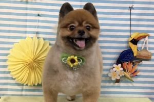 7月のお友達☆