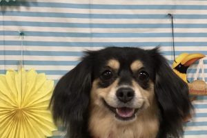 7月のお友達☆