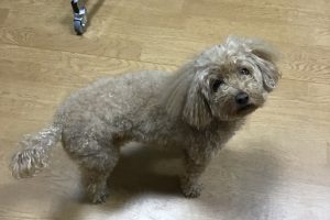 お泊まり中☆