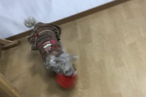 お泊まり中☆