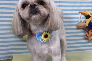 7月のお友達☆
