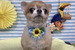 7月のお友達☆