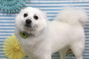 7月のお友達☆