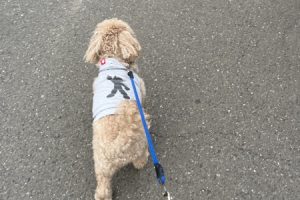 お泊まり☆