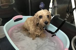 7月のお友達☆