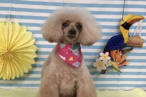 7月のお友達☆