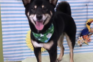 7月のお友達☆