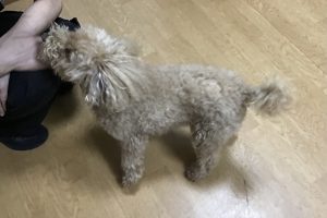 お泊まり中☆