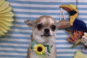 7月のお友達☆