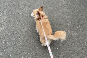 お泊まり中☆