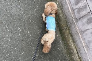お泊まり中☆