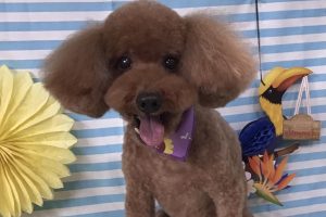 7月のお友達☆