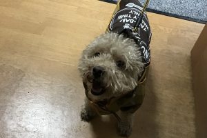 お泊まり中☆