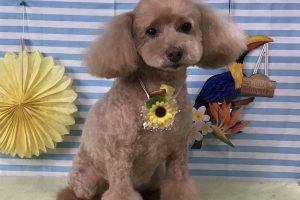 7月のお友達☆