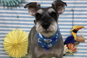 7月のお友達☆