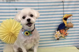 7月のお友達☆