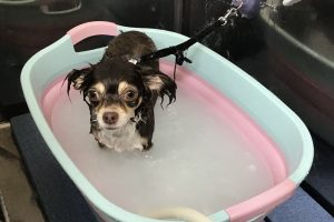 7月のお友達☆