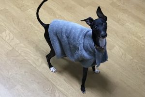 お泊まり中☆