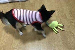 お泊まり中☆