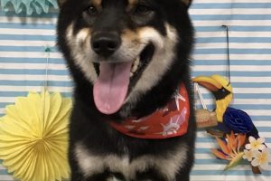7月のお友達☆