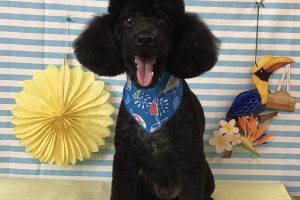 7月のお友達☆