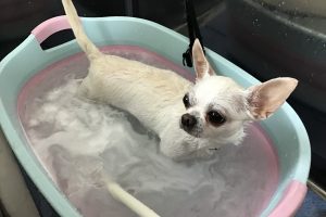 7月のお友達☆