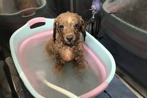 7月のお友達☆