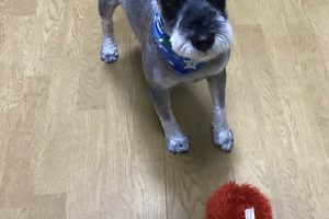 お泊まり☆