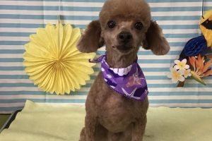 7月のお友達☆
