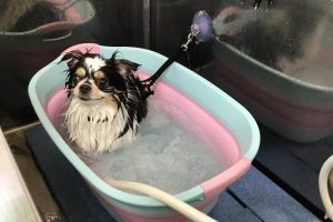 7月のお友達☆