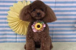 7月のお友達☆