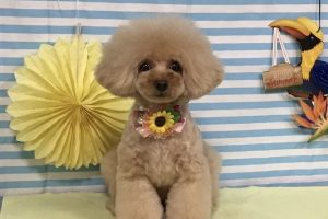 7月のお友達☆