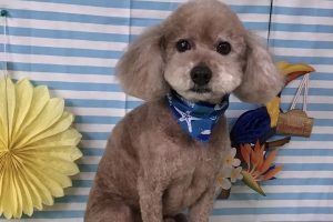 7月のお友達☆