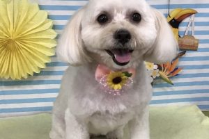 7月のお友達☆