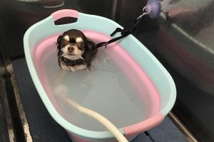 7月のお友達☆