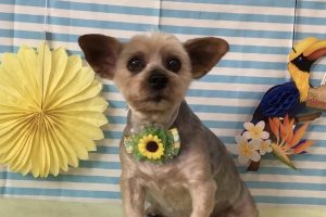 7月にお友達☆